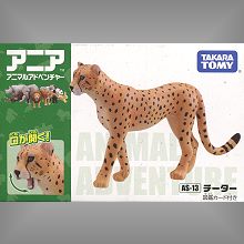TakaraTomy 動物家族 AS-13 花豹,TakaraTomy 動物家族 AS-13 花豹